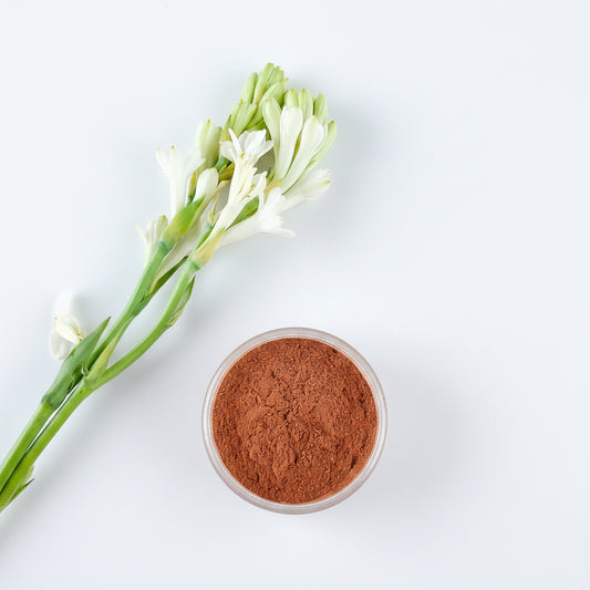Red Sandalwood Powder / রক্ত চন্দন গুঁড়া
