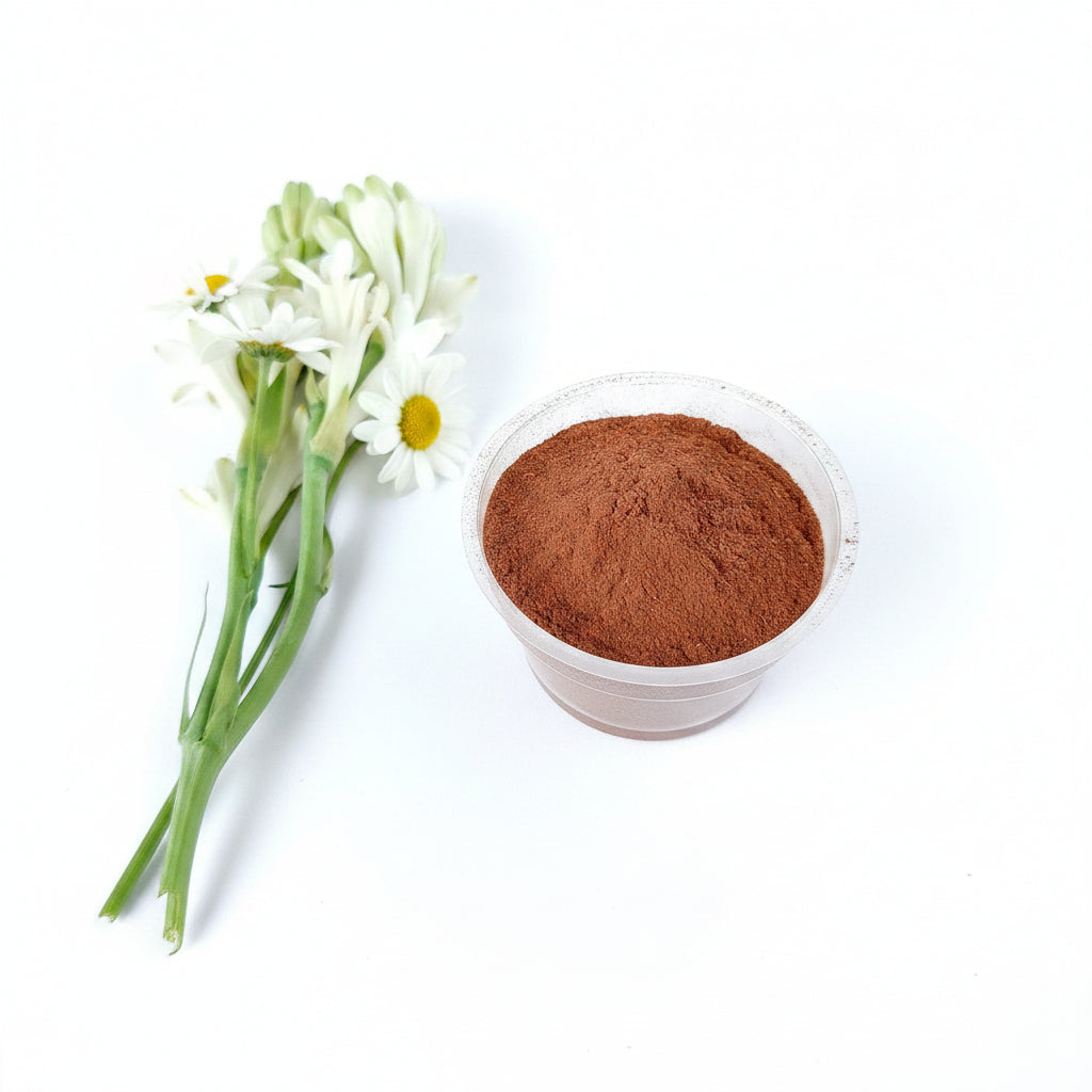 Red Sandalwood Powder / রক্ত চন্দন গুঁড়া