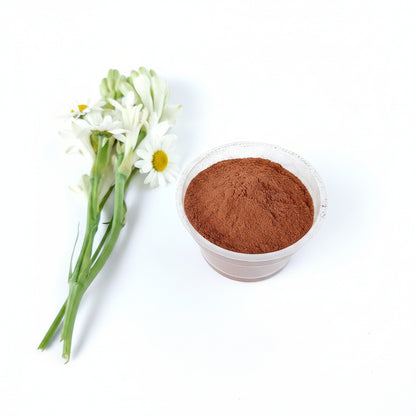 Red Sandalwood Powder / রক্ত চন্দন গুঁড়া