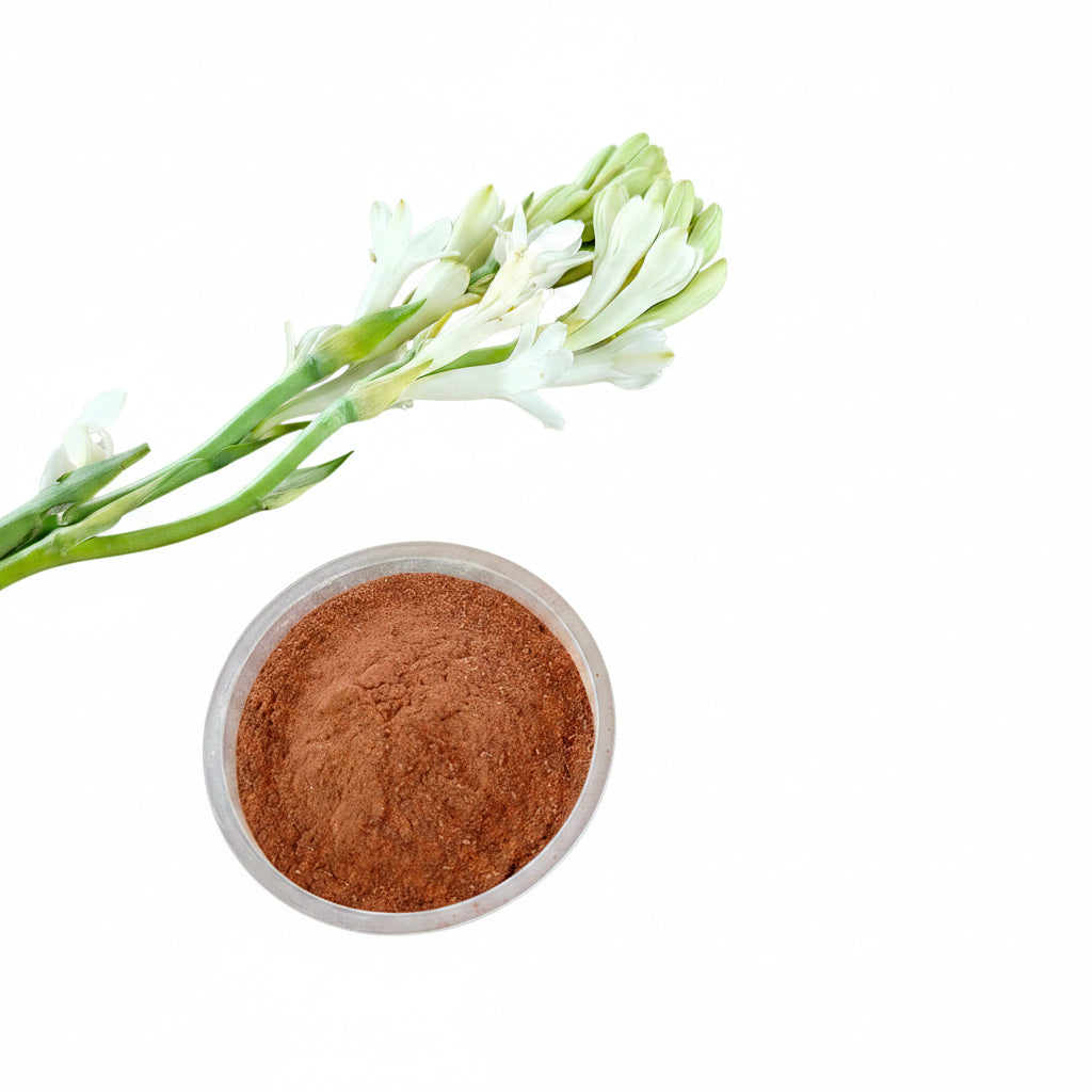 Red Sandalwood Powder / রক্ত চন্দন গুঁড়া