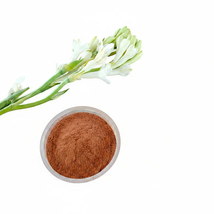 Red Sandalwood Powder / রক্ত চন্দন গুঁড়া