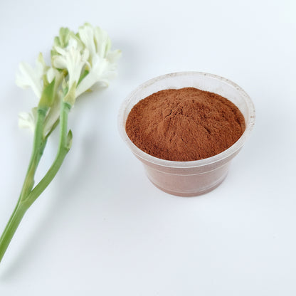 Red Sandalwood Powder / রক্ত চন্দন গুঁড়া