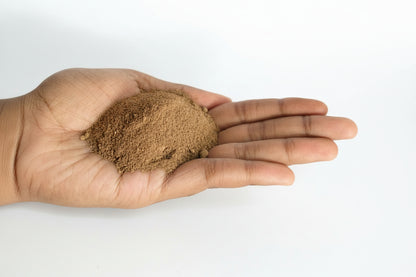শিকাকাই গুঁড়া