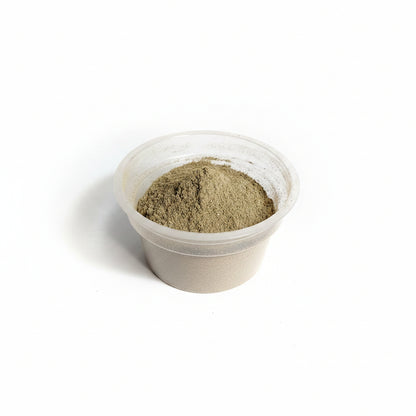 ব্রাহ্মী গুঁড়া